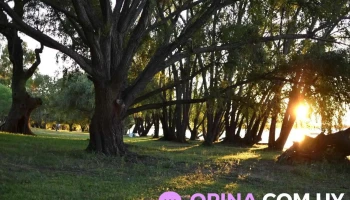 Rambla De Nuevo Berlin, Rio Negro - 18 De Julio