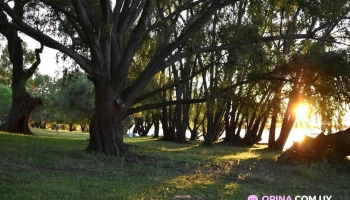 Rambla De Nuevo Berlin, Rio Negro - Nuevo Berlín Rambla De Nuevo Berlin, Rio Negro - Nuevo Berlín