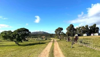Rara Cuenca - Piriápolis