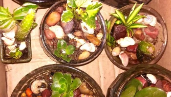 Regalería Hechizos - 50000 Salto