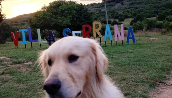 Reino Animal. Clínica Veterinaria - Minas Reino Animal. Clínica Veterinaria - Minas