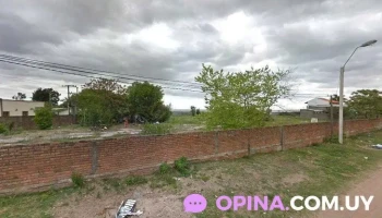 Relevar - Juan L. Lacaze