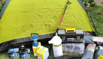 Remate Vera - Young Remate Vera - Young