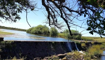 Represa/Parque - Av. Gral. Artigas