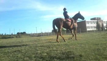 Ri-or - Pedro Figari