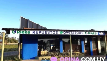 Rieka Repuestos - 75000 Mercedes