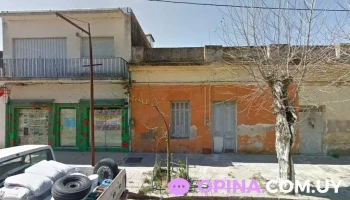 Rincon de las Mascotas - 91100 San Ramón