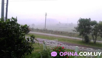 Rotiseria Marita - 30300 José Pedro Varela