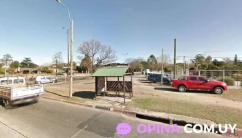 Royal Studio - Departamento De Montevideo