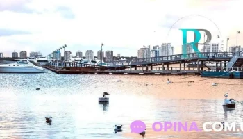 Rp Real Estate - Maldonado