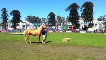 Rural del Prado - 11700 Montevideo