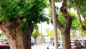 Sacra Propiedades - Col. Del Sacramento Sacra Propiedades - Col. Del Sacramento