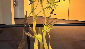 Sala Lumiere Antel - 90000 Canelones