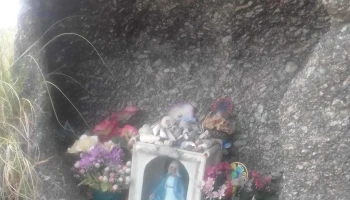 Salón Dalí - Progreso