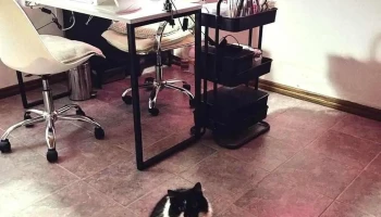 Salón de belleza - María José - 25 De Mayo Y Salón de belleza - María José - 25 De Mayo Y