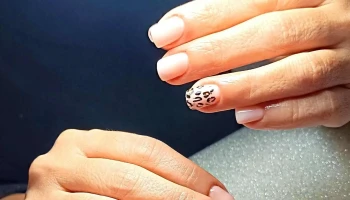 Salón Estético Lula - Oficial 2 1221