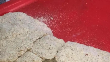 Salón Italia - Santiago Vázquez Salón Italia - Santiago Vázquez