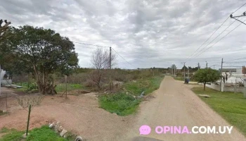 Salon la palmera - Pando Salon la palmera - Pando