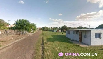 Salón las acacias - Young