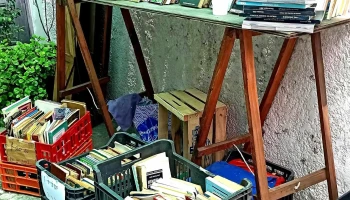 Salvandolibros - Las Piedras