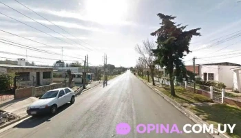 Selene Gea - 70000 Col. Del Sacramento