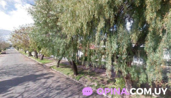 semanario La Prensa - Piriápolis