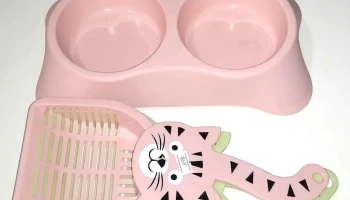 Semilleria San Javier, Nadia Novac - San Javier