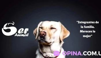 Ser Animal / Barra De Carrasco - 11500 Ciudad De La Costa