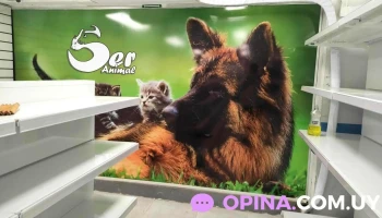 Ser Animal - Bulevar Artigas Y