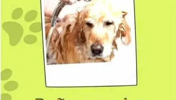 Ser Animal / Carrasco Norte - Departamento De Montevideo