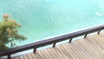 Serena Del Lago - La Paloma