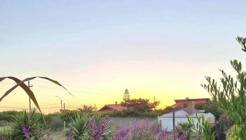 Serenamar - La Paloma