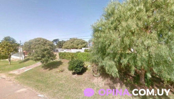 Serendipia - Maldonado