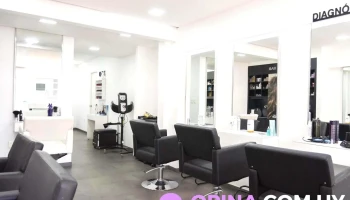 Serendipity Hair-MVD Intercoiffure - Bv. España Esq