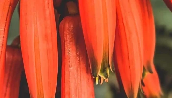 Servicentro El Pajaro - 95100 Veinticinco De Mayo Servicentro El Pajaro - 95100 Veinticinco De Mayo