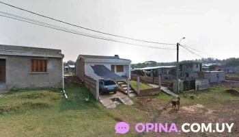 Servicios veterinarios - 55000 Artigas