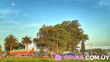 Sociedad Criolla Los Treinta y Tres - 33000 Treinta Y Tres