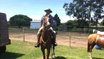 Sociedad Criolla Manuel Antonio Ledesma - Los Cerrillos Sociedad Criolla Manuel Antonio Ledesma - Los Cerrillos