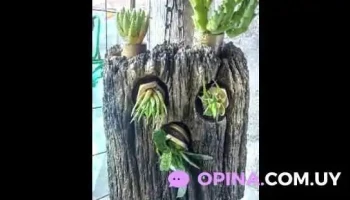 Soluciones Juan Carlos - 15200 Estación Atlántida