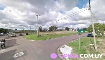 Stock Mayor Distribuciones - 20000 Maldonado