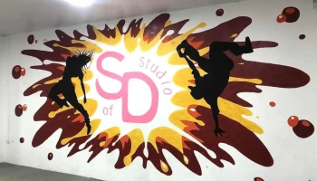 Style of Dance Studio - Toledo