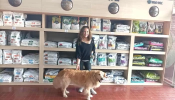 Sucan Punta del Este - 20100 Punta Del Este Sucan Punta del Este - 20100 Punta Del Este