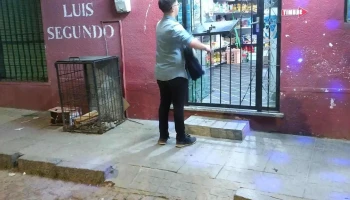 Super Luis Segundo - Calle Dr. Luis Alberto De Herrera