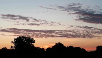 Superveinticinco Srl - 95100 Veinticinco De Mayo