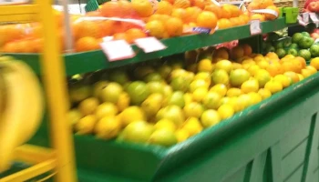 Ta-Ta La Blanqueada - 11400 Montevideo