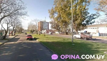 Tabacaleste Srl - Uruguay - 20000 Maldonado