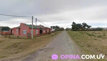 Taboba y maurente - Col. Del Sacramento