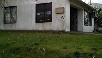 Tala Hd - 91400 Tala Tala Hd - 91400 Tala