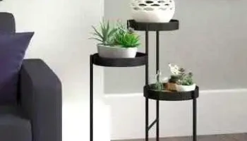 Tallo y Flor - Montevideo