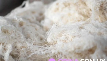 Textil Cabrera - 15500 Barros Blancos